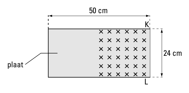 50 cm K 24 cm plaat L