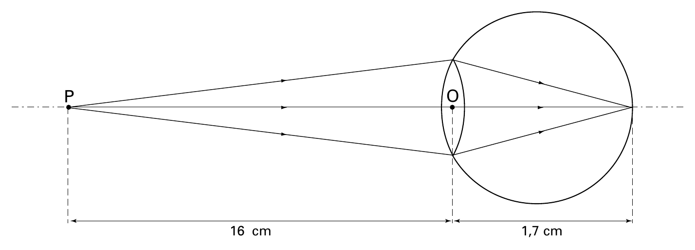 P O 16 cm 1,7 cm