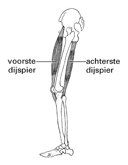 figuur bij de opgave
