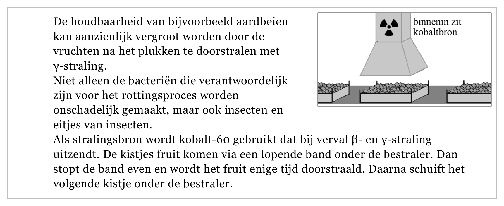 De houdbaarheid van bijvoorbeeld aardbeien kan aanzienlijk vergroot worden door de vruchten na het plukken te doorstralen met γ-straling. Niet alleen de bacteriën die verantwoordelijk zijn voor het rottingsproces…