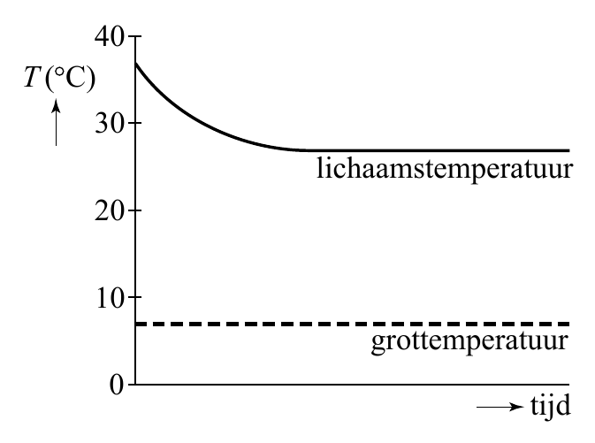 40 T ( C) 30 lichaamstemperatuur 20 10 grottemperatuur 0 tijd