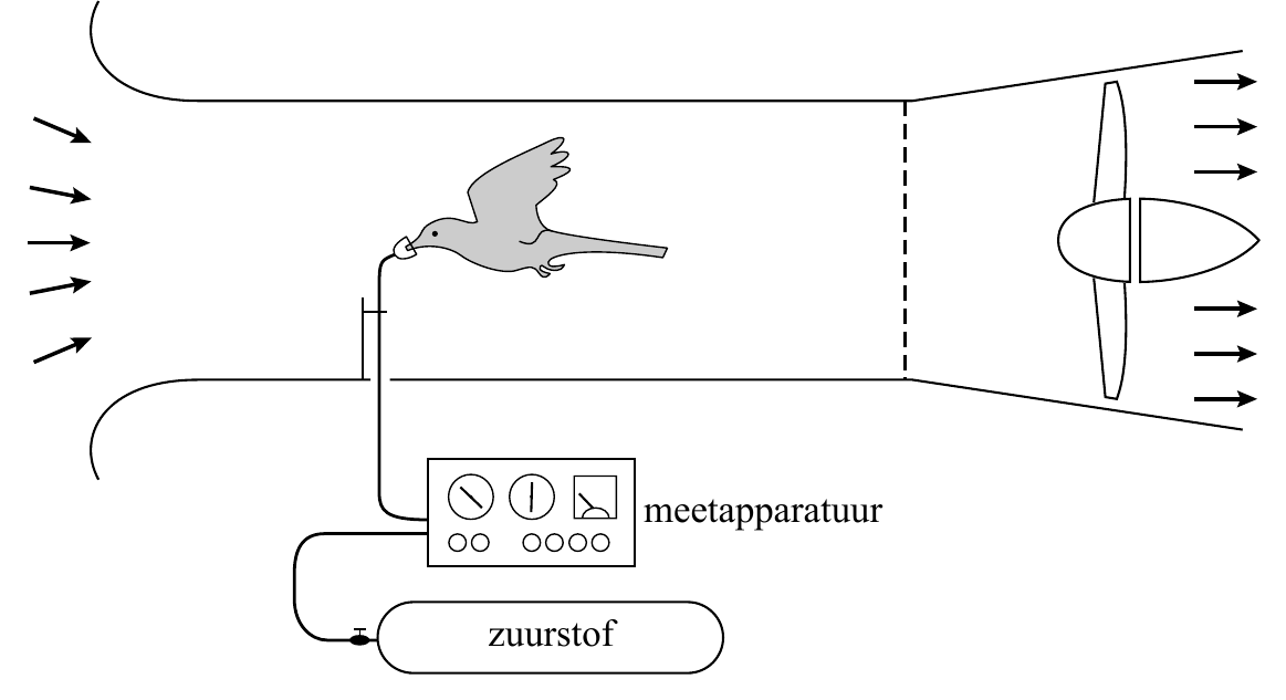 meetapparatuur zuurstof