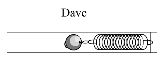 Dave