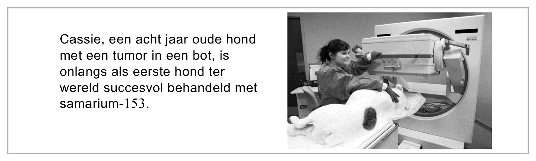 Cassie, een acht jaar oude hond met een tumor in een bot, is onlangs als eerste hond ter wereld succesvol behandeld met samarium-153.
