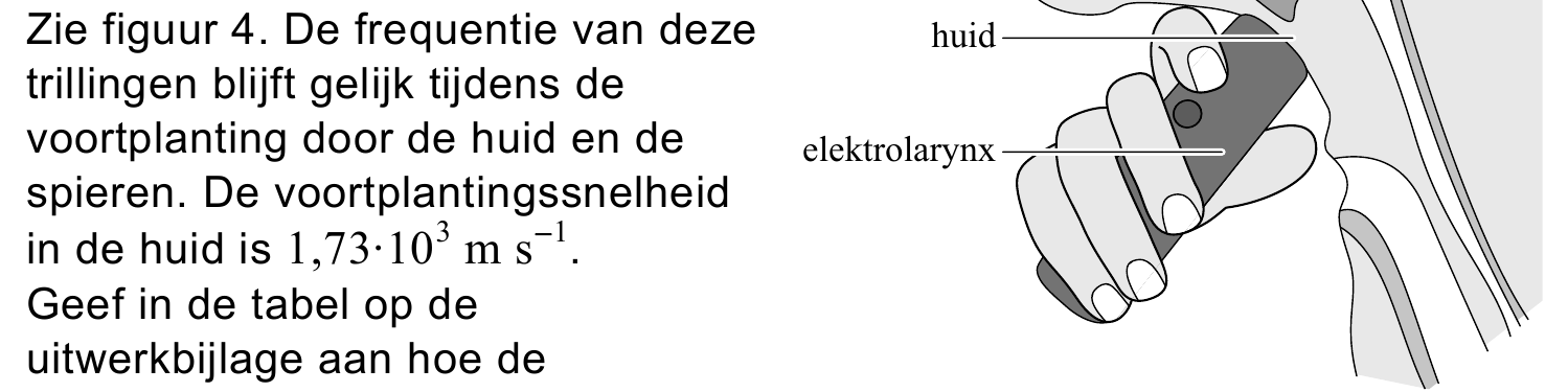 Zie figuur 4. De frequentie van deze huid trillingen blijft gelijk tijdens de voortplanting door de huid en de elektrolarynx spieren. De voortplantingssnelheid in de huid is 1,73·103 m s1 . Geef in de tabel op de…