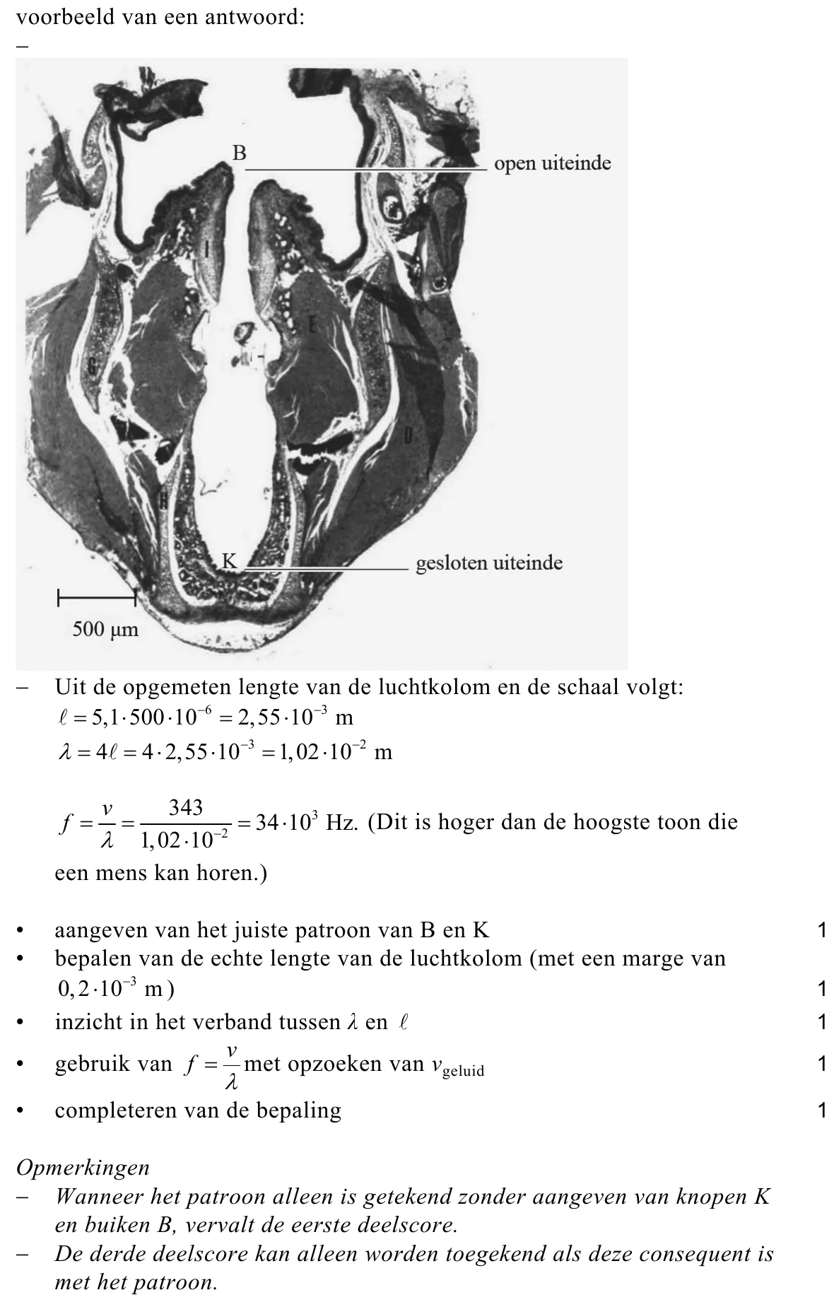 beoordelingsmodel vraag 2