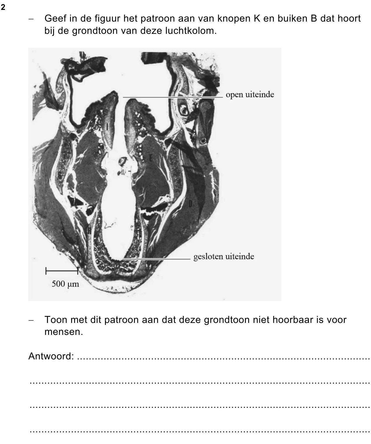 uitwerkbijlage bij vraag 2