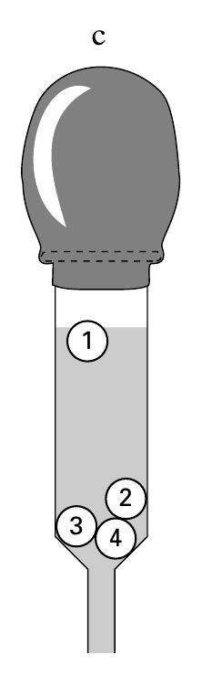 c 1 2 3 4