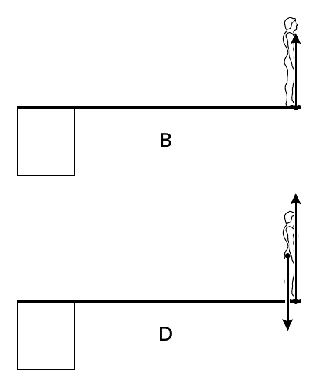B D