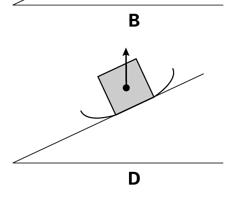 B D