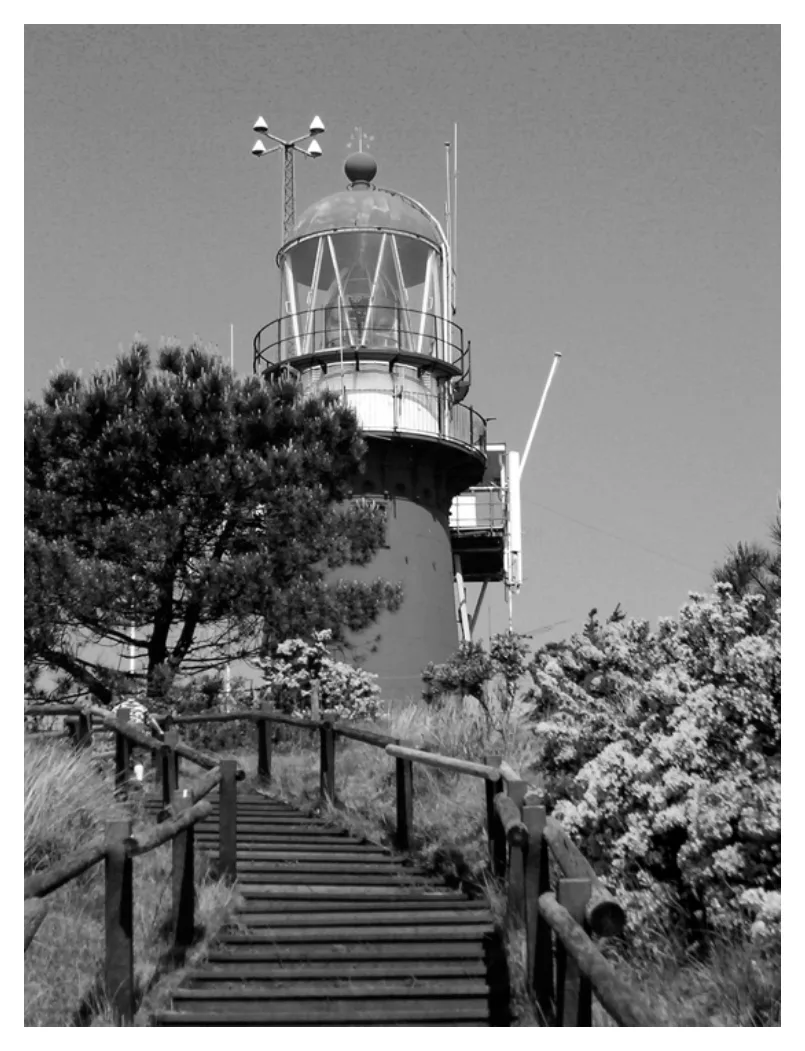 figuur bij de opgave