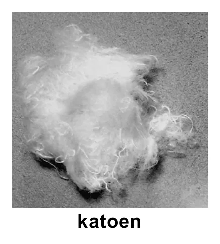 katoen