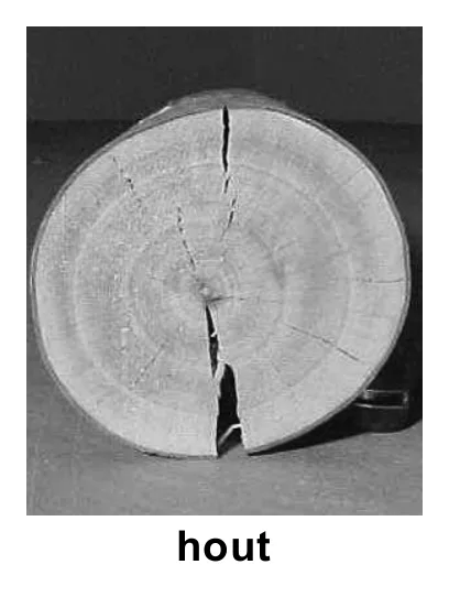 hout
