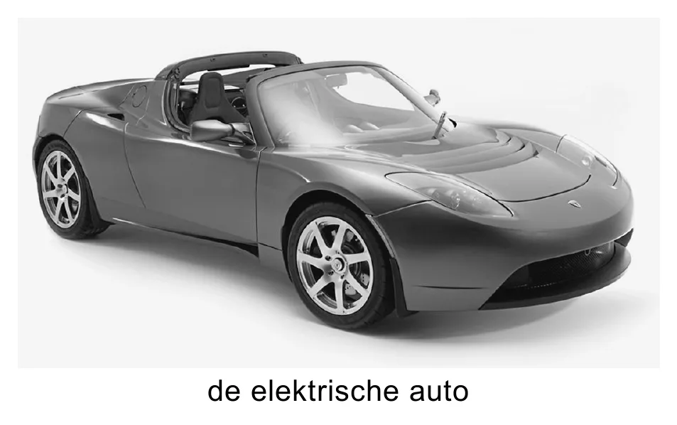de elektrische auto