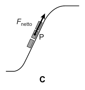 F netto P C