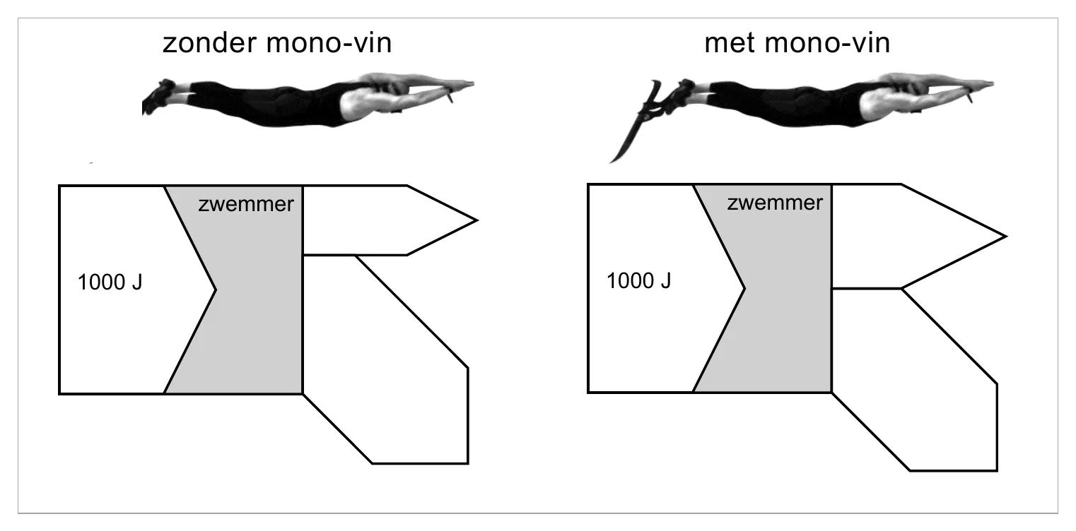 zonder mono-vin met mono-vin zwemmer zwemmer 1000 J 1000 J