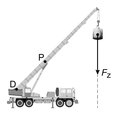 P Fz D
