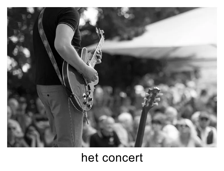 het concert