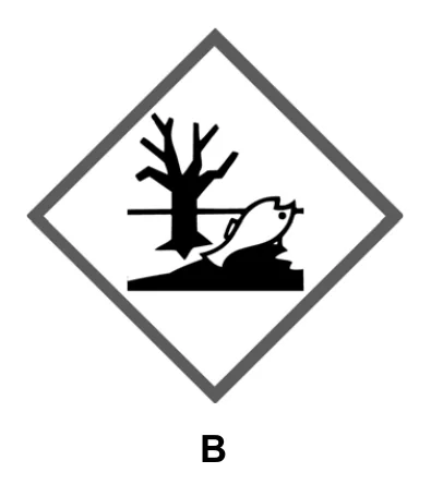 B