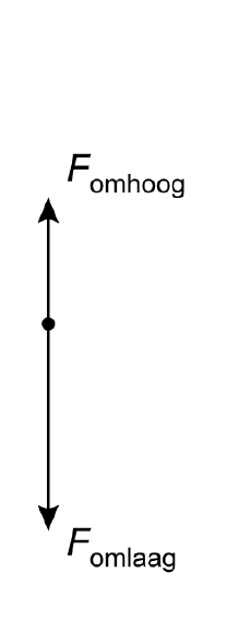 figuur bij de opgave