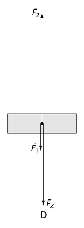 F 2 F 1 F Z D