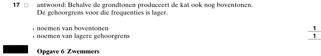 beoordelingsmodel vraag 17