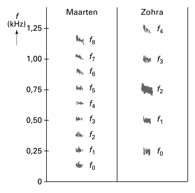 f Maarten Zohra (kHz) 1,25 f 4 f 8 1,00 f 7 f 3 f 6 0,75 f 5 f 2 f 4 0,50 f 3 f 1 f 2 0,25 f 1 f 0 f 0 0