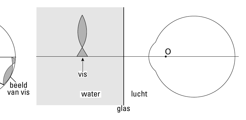 O vis beeld van vis water lucht glas