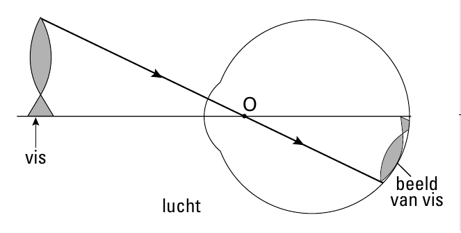 O vis beeld lucht van vis
