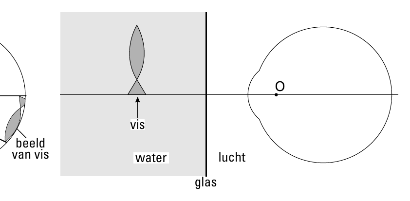 O vis beeld van vis water lucht glas