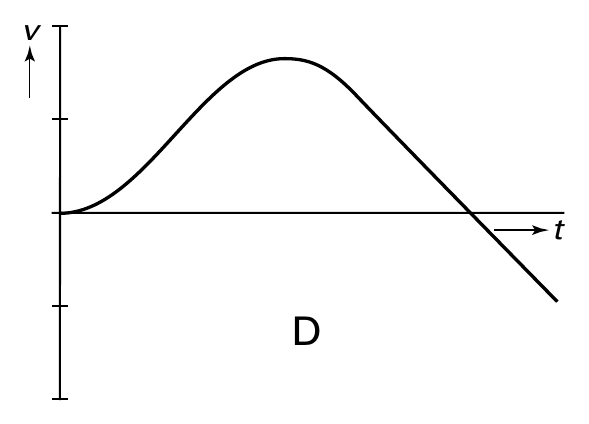 t D