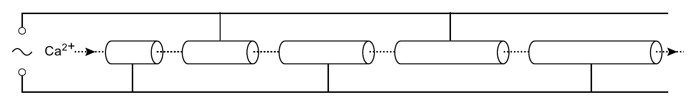 Ca2+