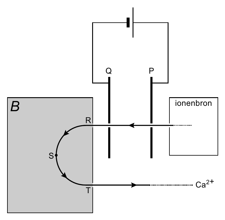 Q P B ionenbron R S Ca2+ T