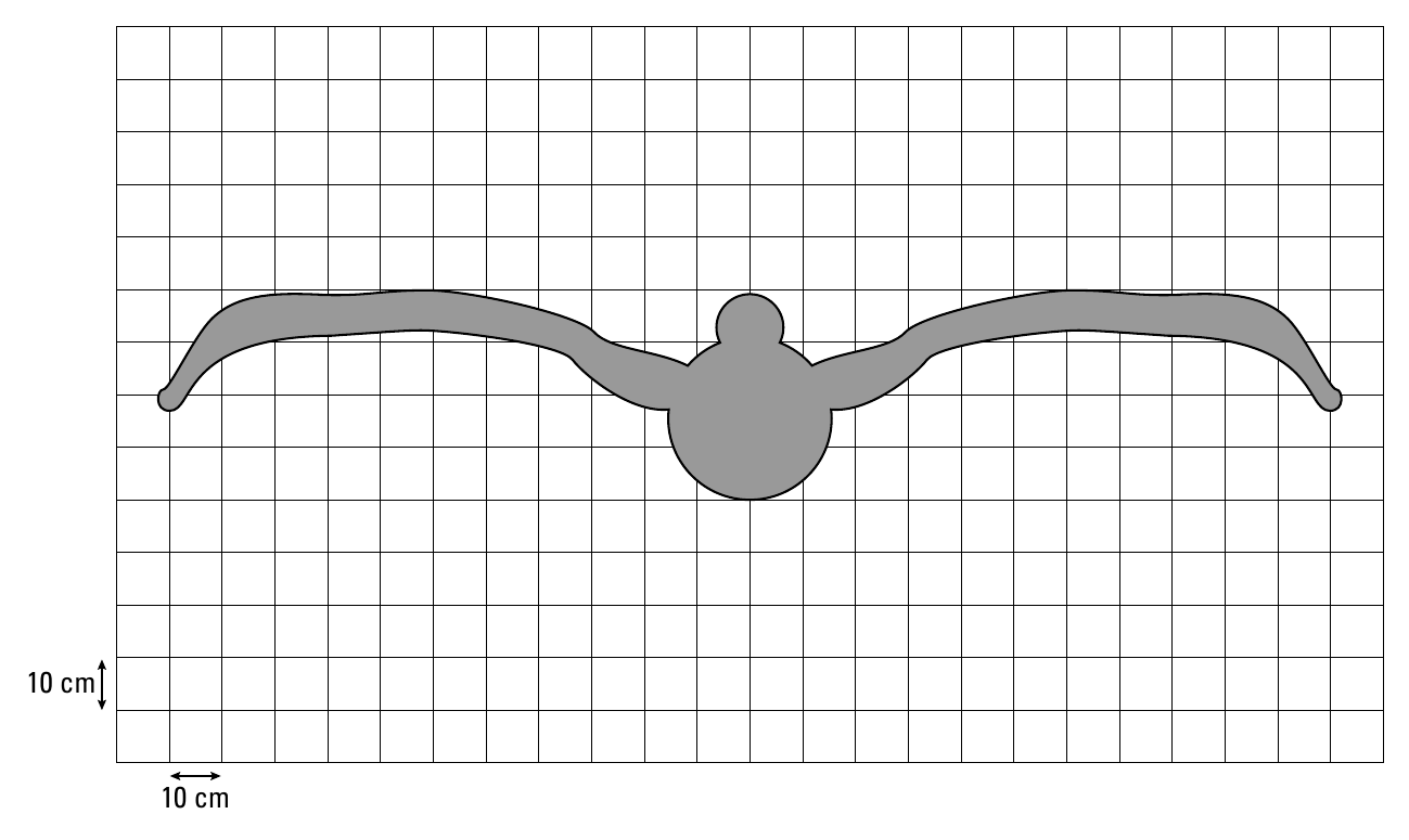 10 cm 10 cm