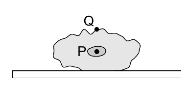 Q P