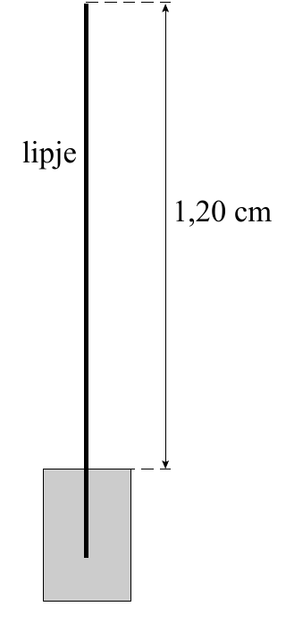 lipje 1,20 cm