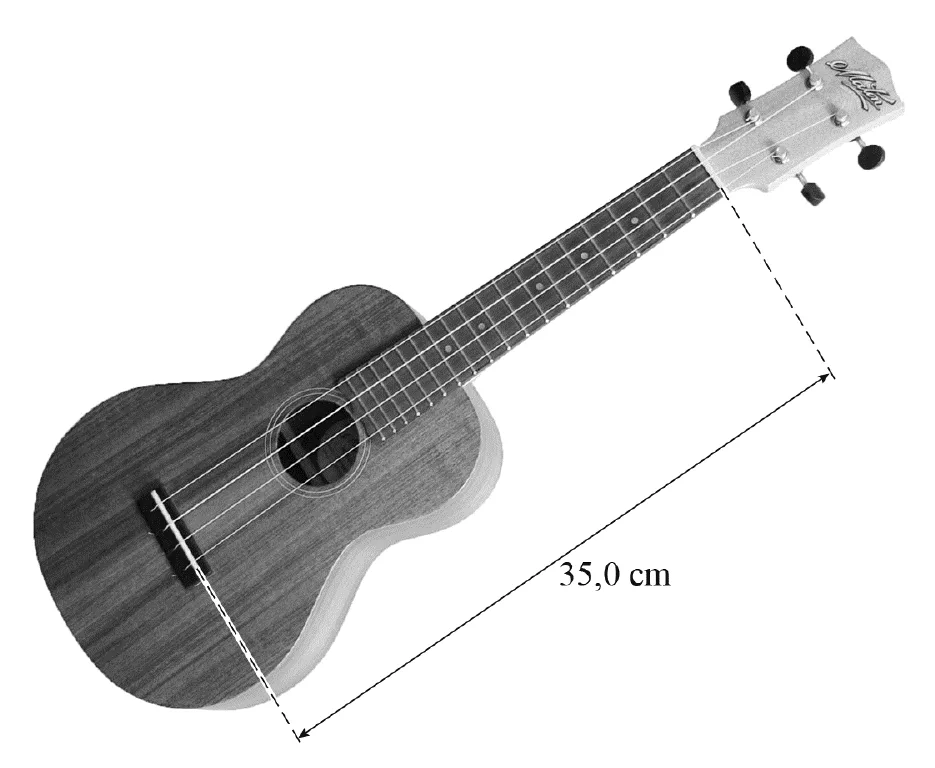 figuur bij de opgave