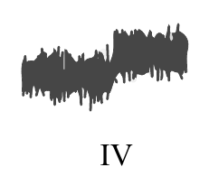 IV