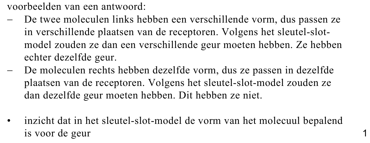 beoordelingsmodel vraag 19