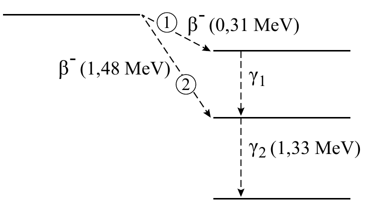 1 β (0,31 MeV) - β (1,48 MeV) γ 2 1 γ (1,33 MeV) 2