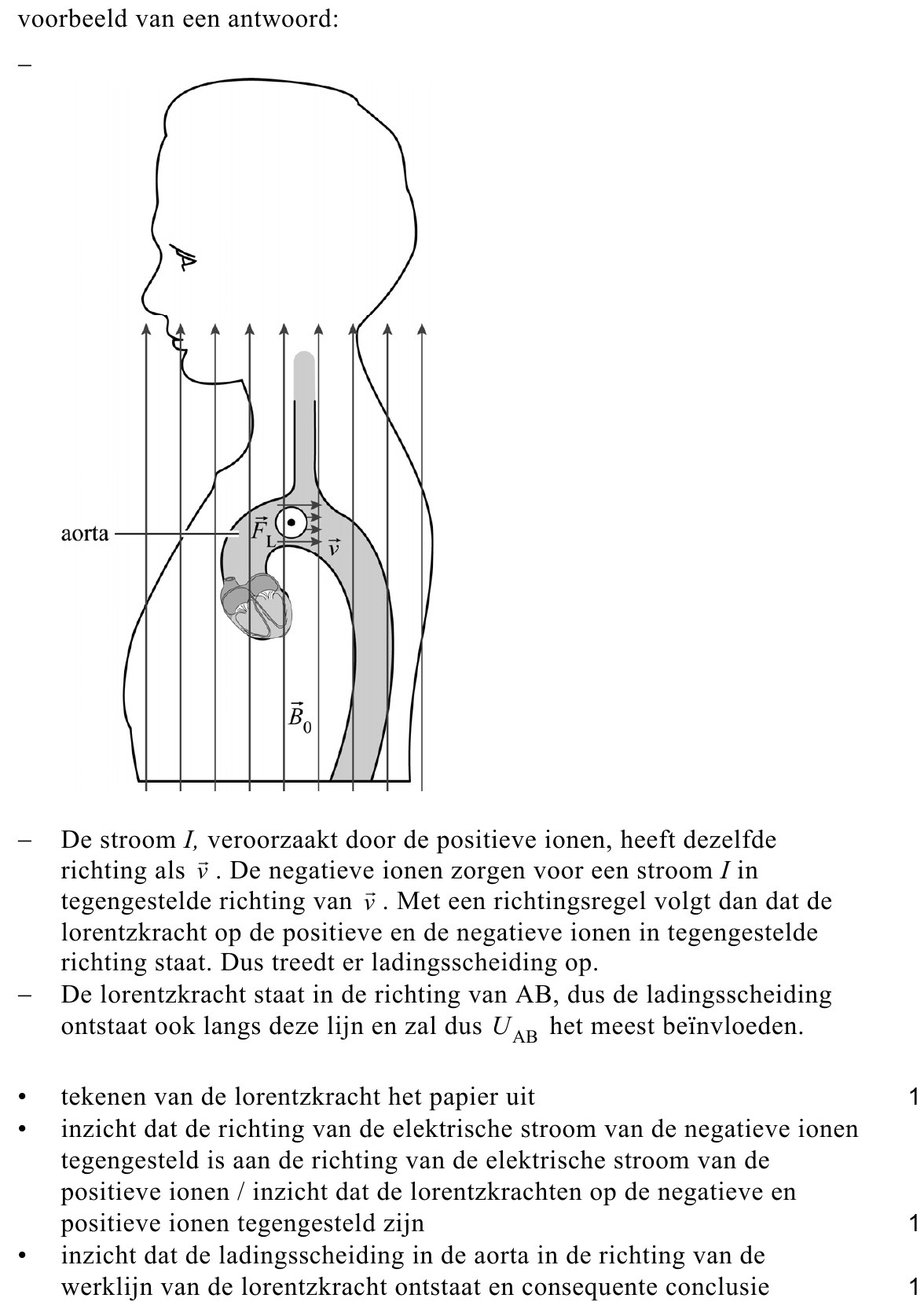beoordelingsmodel vraag 11